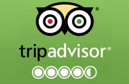 Milam Inn Munsiyari on TripAdvisor